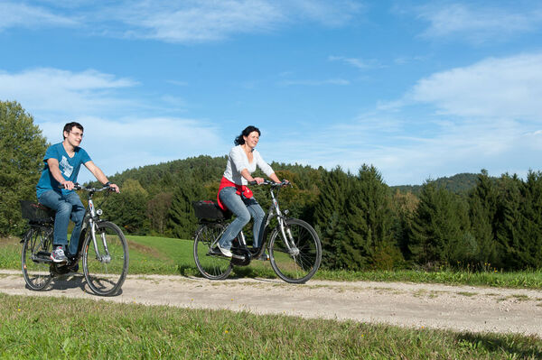 Fahrrad Weigl Neustadt