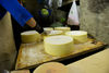 The cheeses are tended carefully as they mature.