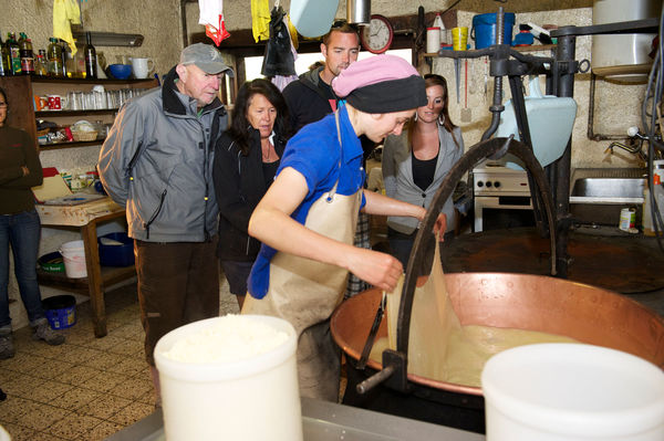 Die Sennerei Stafel verarbeitet in den Sommermonaten täglich die Milch der Kühe, die in der Umgebung grasen.