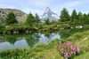 L'une des étapes sur le chemin des cinq lacs de Zermatt: le Grindjisee, avec sa flore alpine unique.