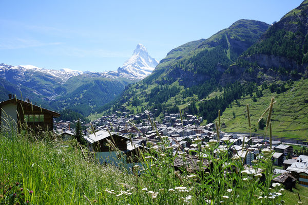Am Waldrand ist der Blick frei auf das Dorf und das Matterhorn – eine herrliche Aussicht.